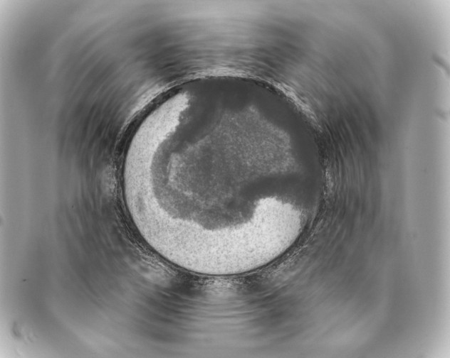 X0000094961266200712201152