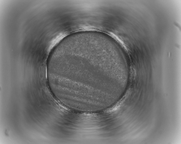 X0000094961269200712201152