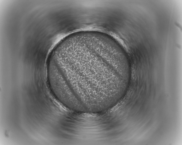 X0000094961270200712201152