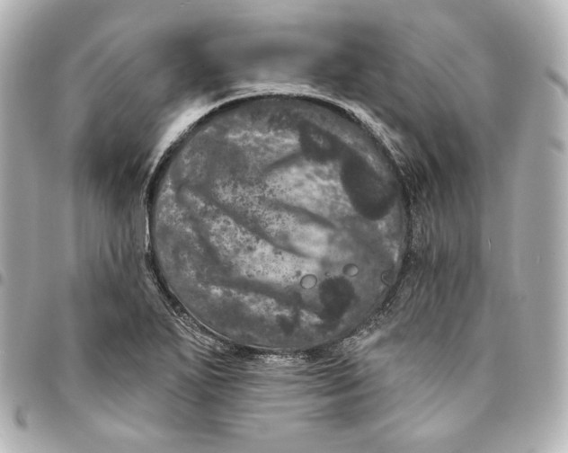 X0000094961271200712201152