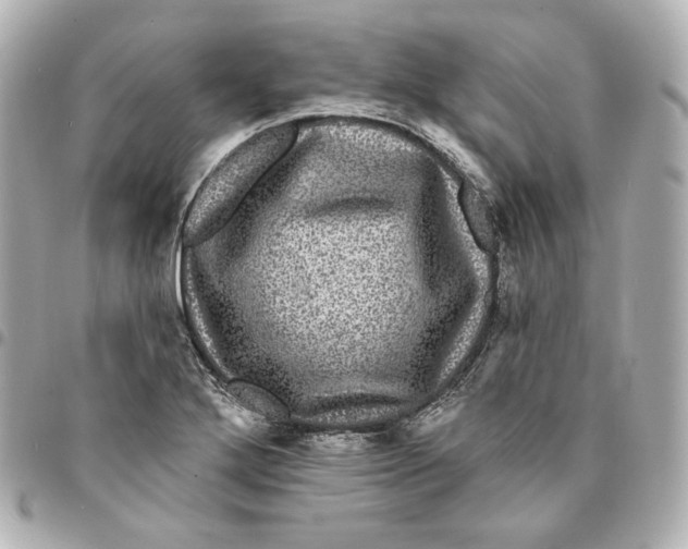 X0000094961272200712201152