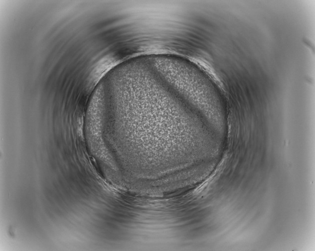 X0000094961273200712201152