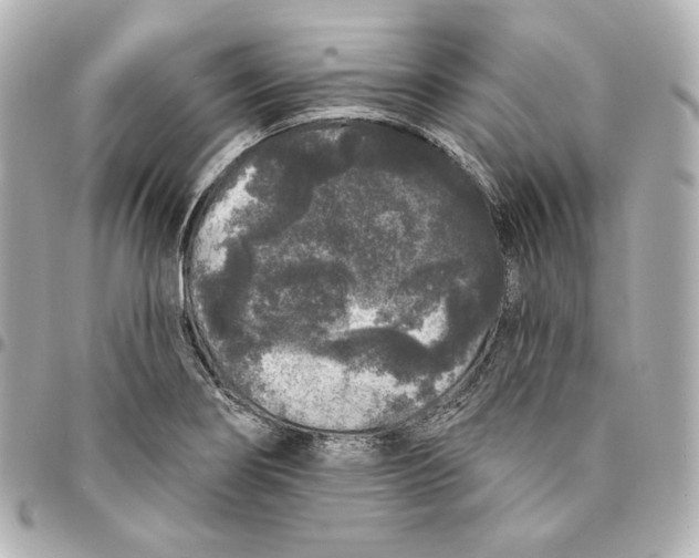 X0000094961274200712201152