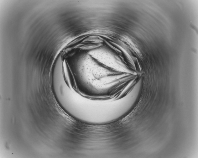 X0000094961276200712201152