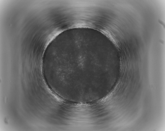 X0000094961277200712201152