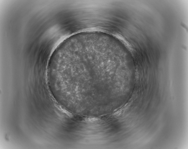 X0000094961278200712201152