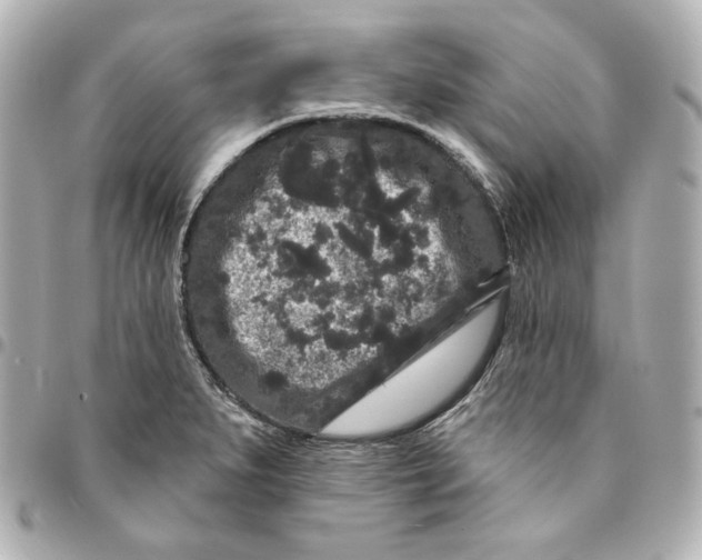 X0000094961279200712201152