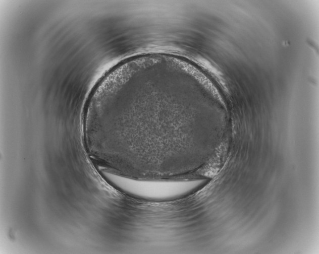 X0000094961280200712201152