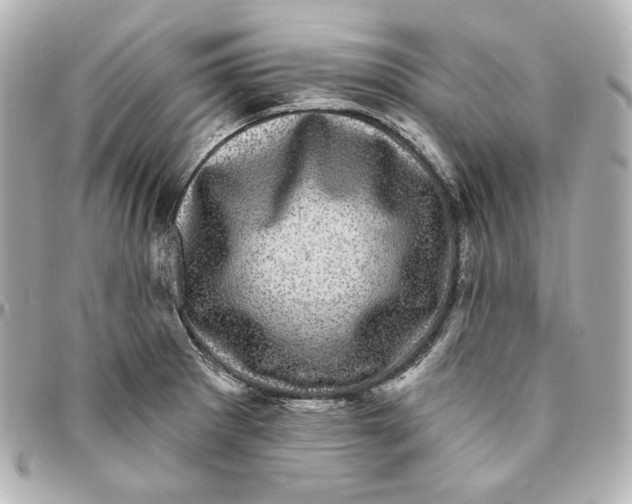 X0000094961281200712201152