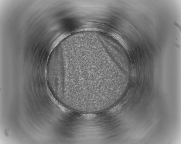 X0000094961282200712201152