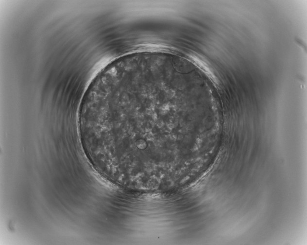 X0000094961283200712201152