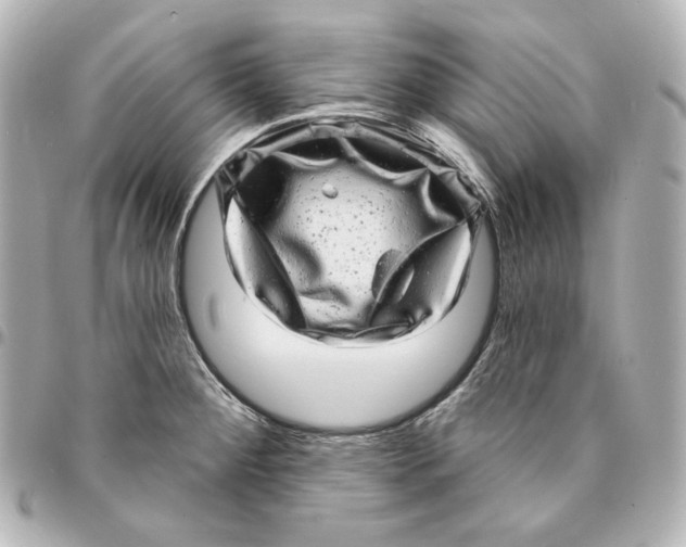 X0000094961284200712201152