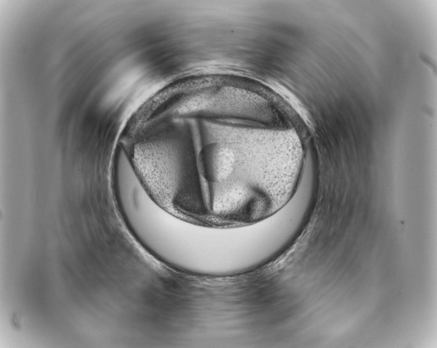 X0000094961285200712201152