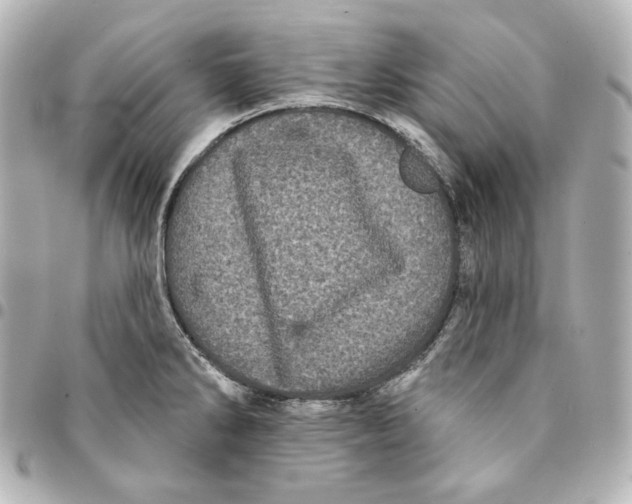 X0000094961286200712201152