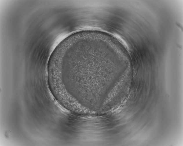 X0000094961287200712201152