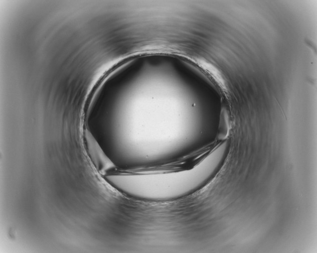 X0000094961288200712201151