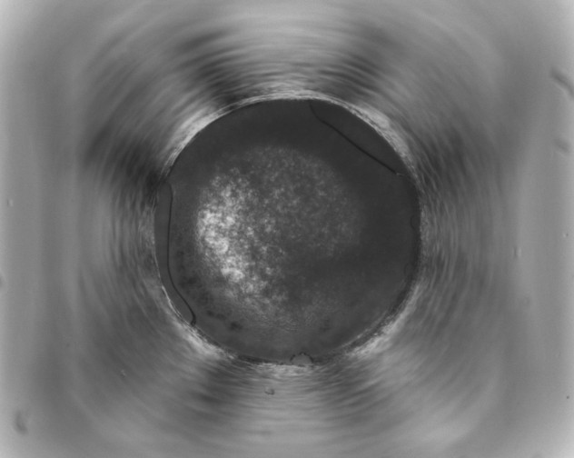 X0000094961289200712201151