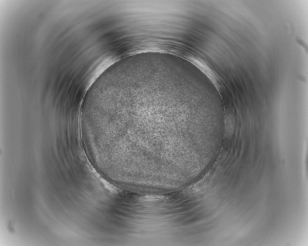 X0000094961290200712201151