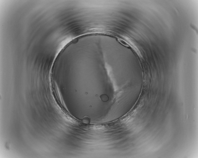 X0000094961291200712201151