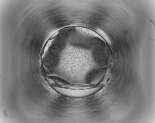 X0000094961292200712201151