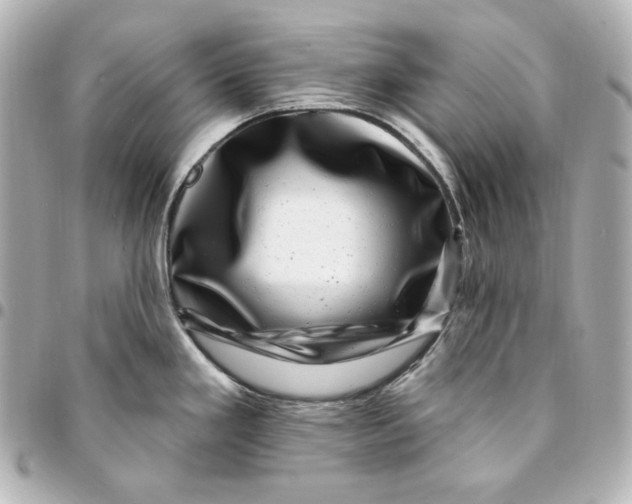 X0000094961293200712201151