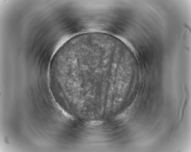 X0000094961294200712201151