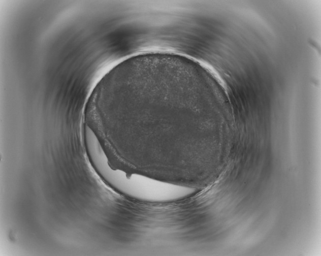 X0000094961295200712201151