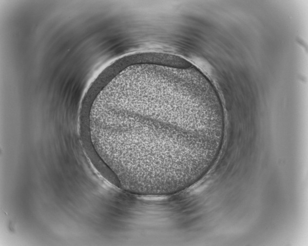 X0000094961296200712201151