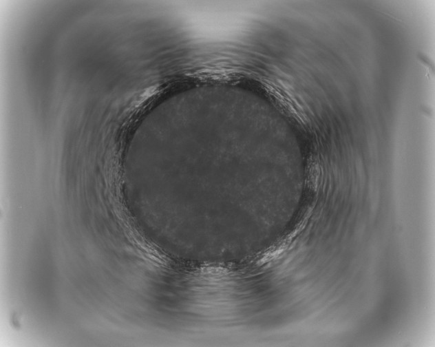 X0000094961297200712201151