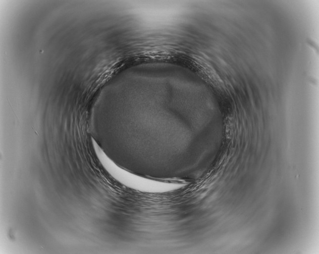 X0000094961298200712201151