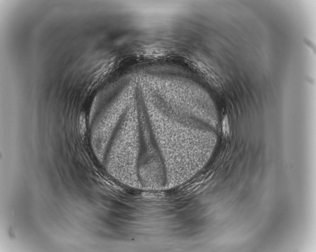 X0000094961299200712201151