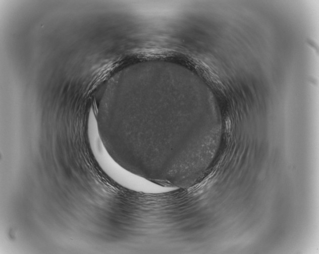 X0000094961300200712201151