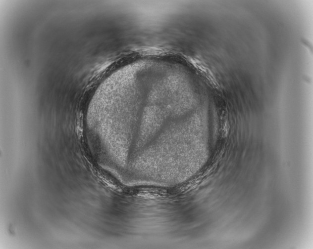 X0000094961301200712201151