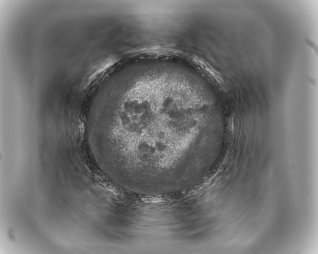 X0000094961302200712201151