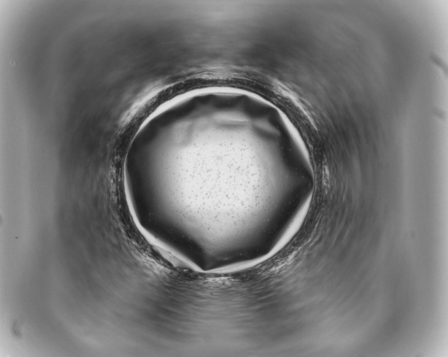 X0000094961304200712201151