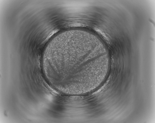 X0000094961305200712201151