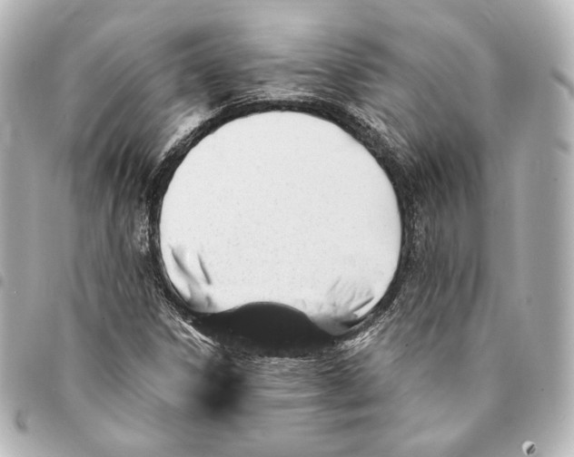 X0000094961306200712201151