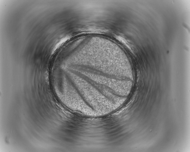 X0000094961307200712201151