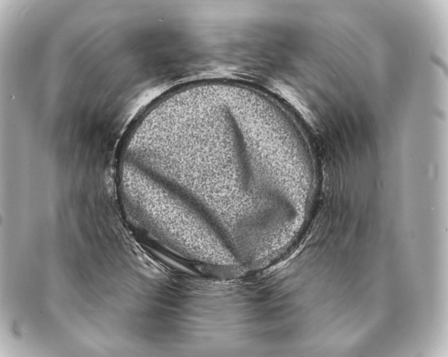 X0000094961308200712201151