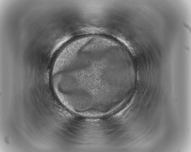 X0000094961309200712201151