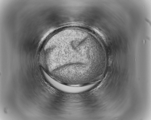 X0000094961310200712201151