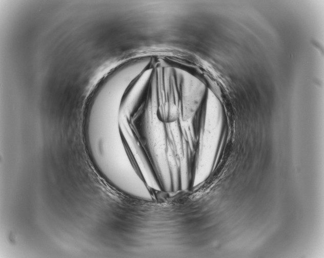 X0000094961312200712201151