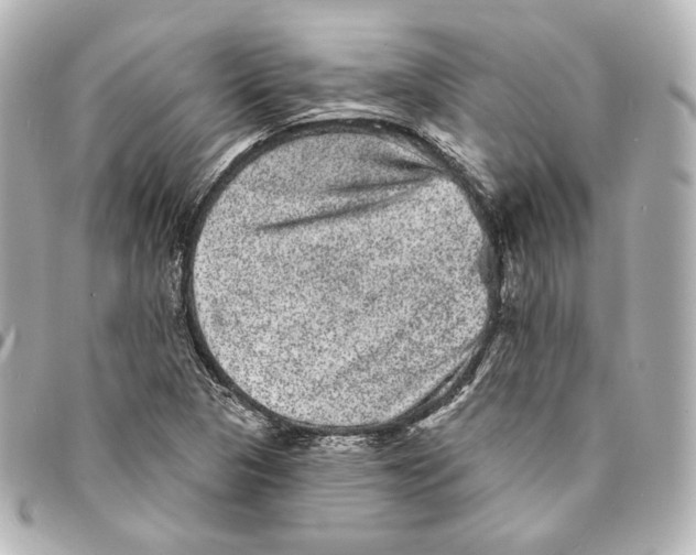 X0000094961313200712201151