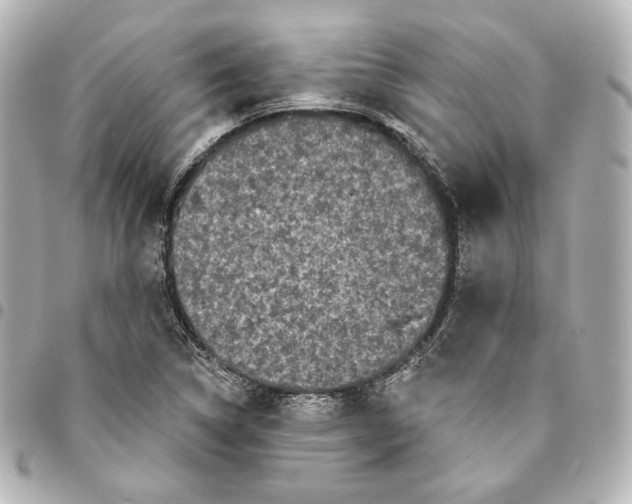 X0000094961314200712201151