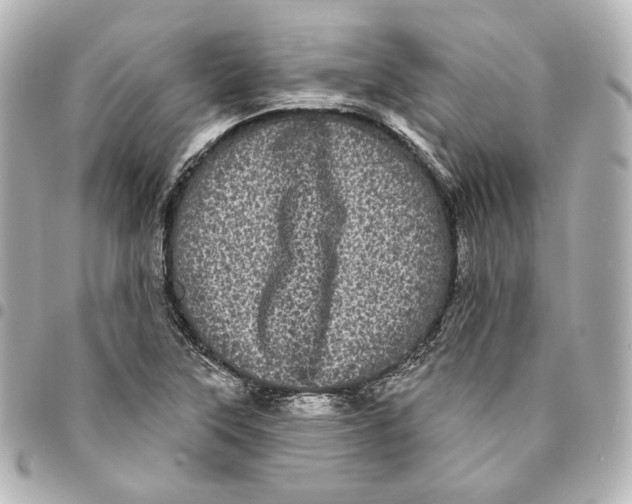 X0000094961315200712201151