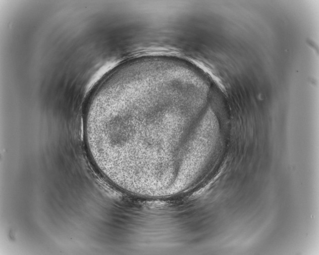 X0000094961317200712201151