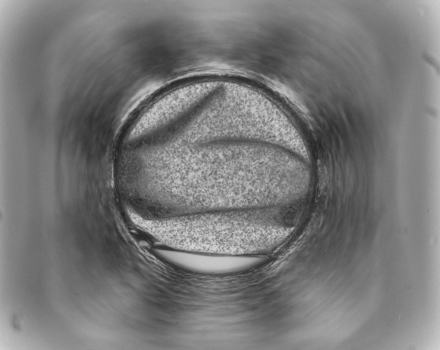 X0000094961318200712201151