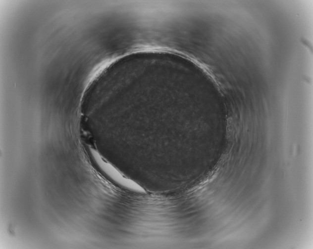 X0000094961319200712201151