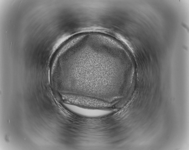 X0000094961320200712201151