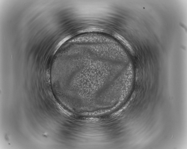 X0000094961321200712201151